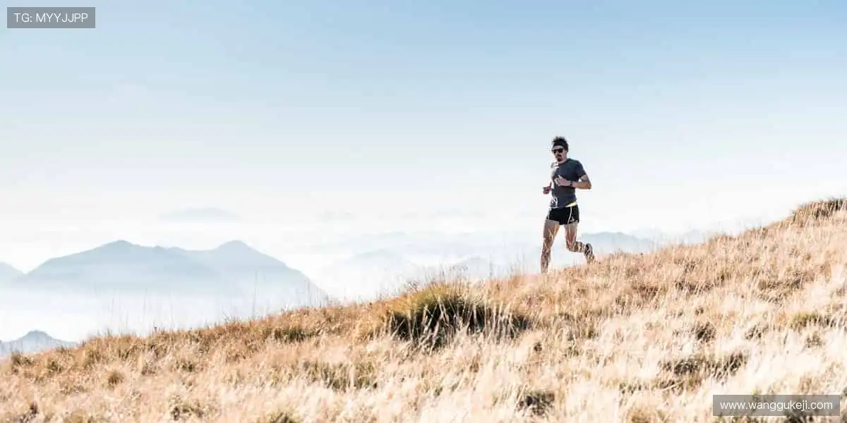 数据为骨，创意为魂，打造独一无二的游戏世界！🎭